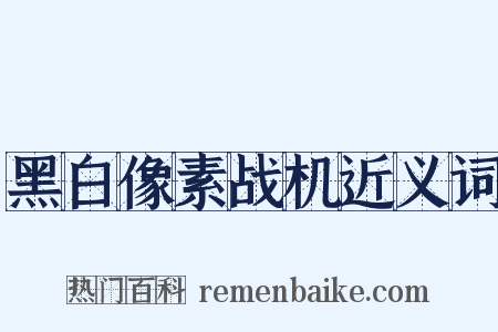 黑白像素战机近义词是什么意思的图片